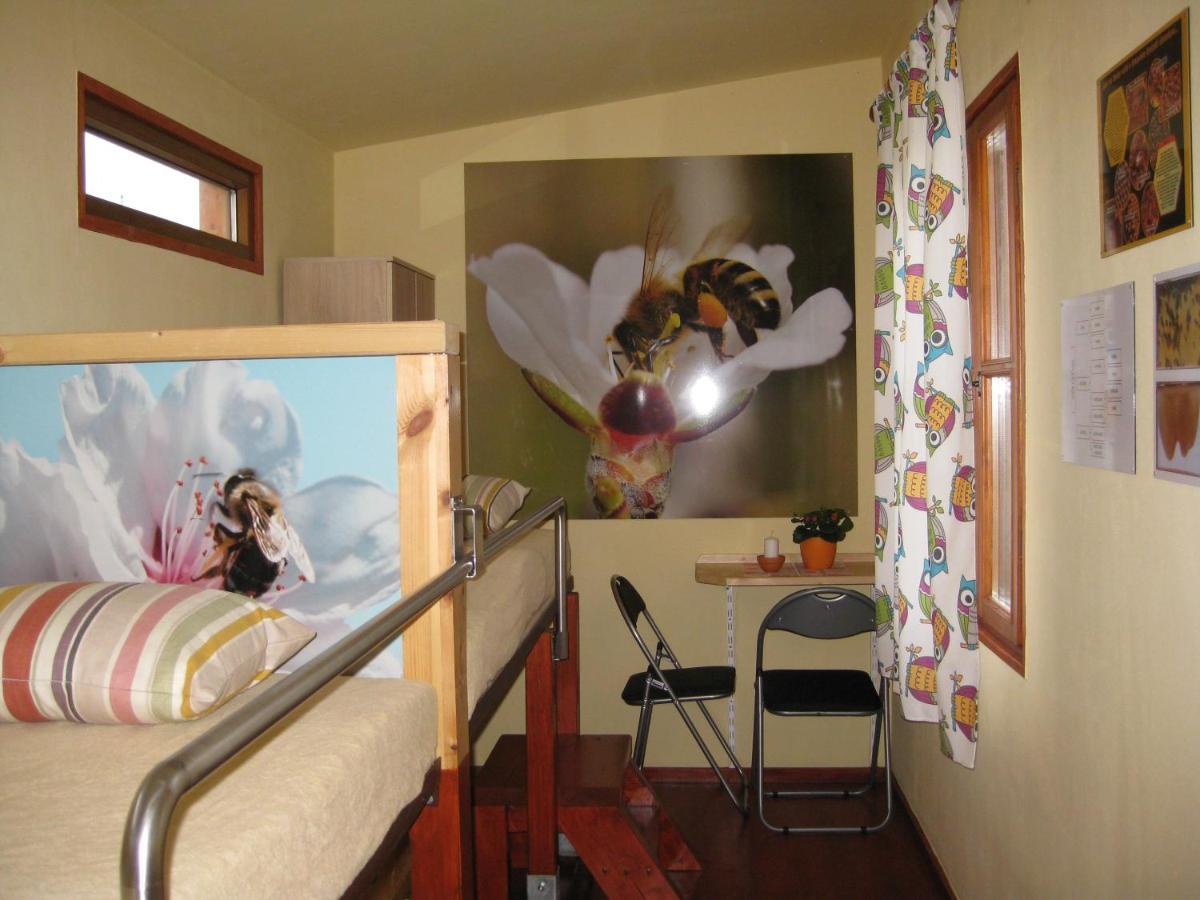 Apartmany Vcelka Hranice u Novych Hradu 外观 照片